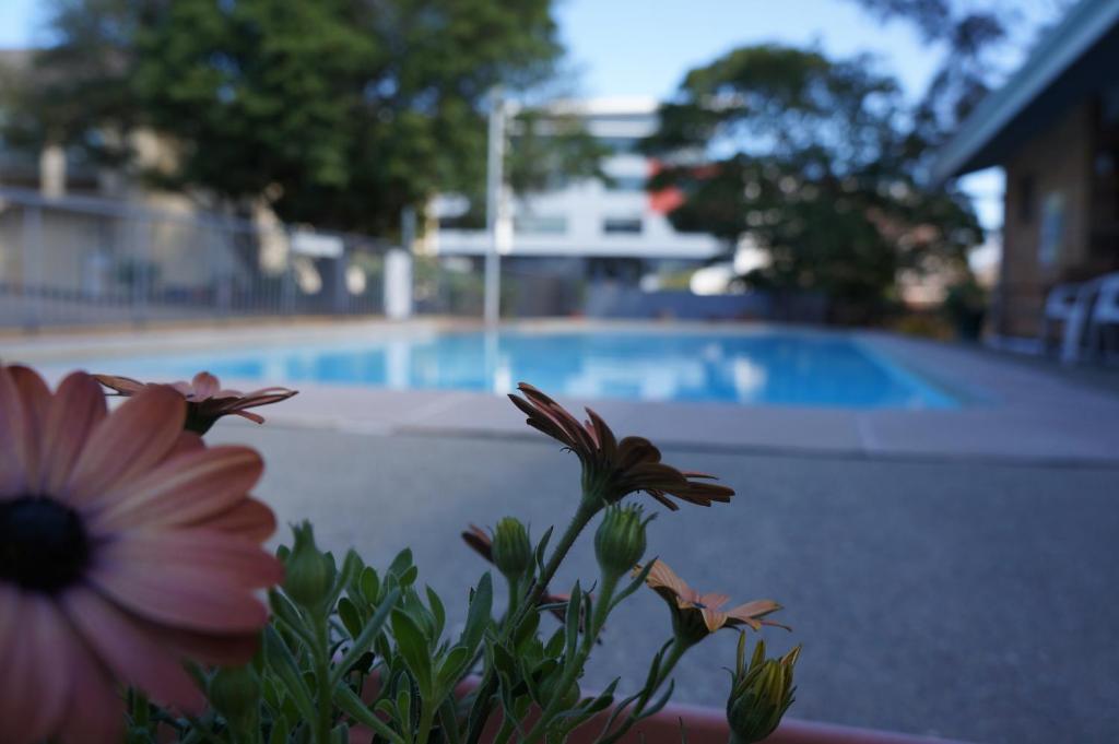 Panorama Motor Inn Newcastle Ngoại thất bức ảnh